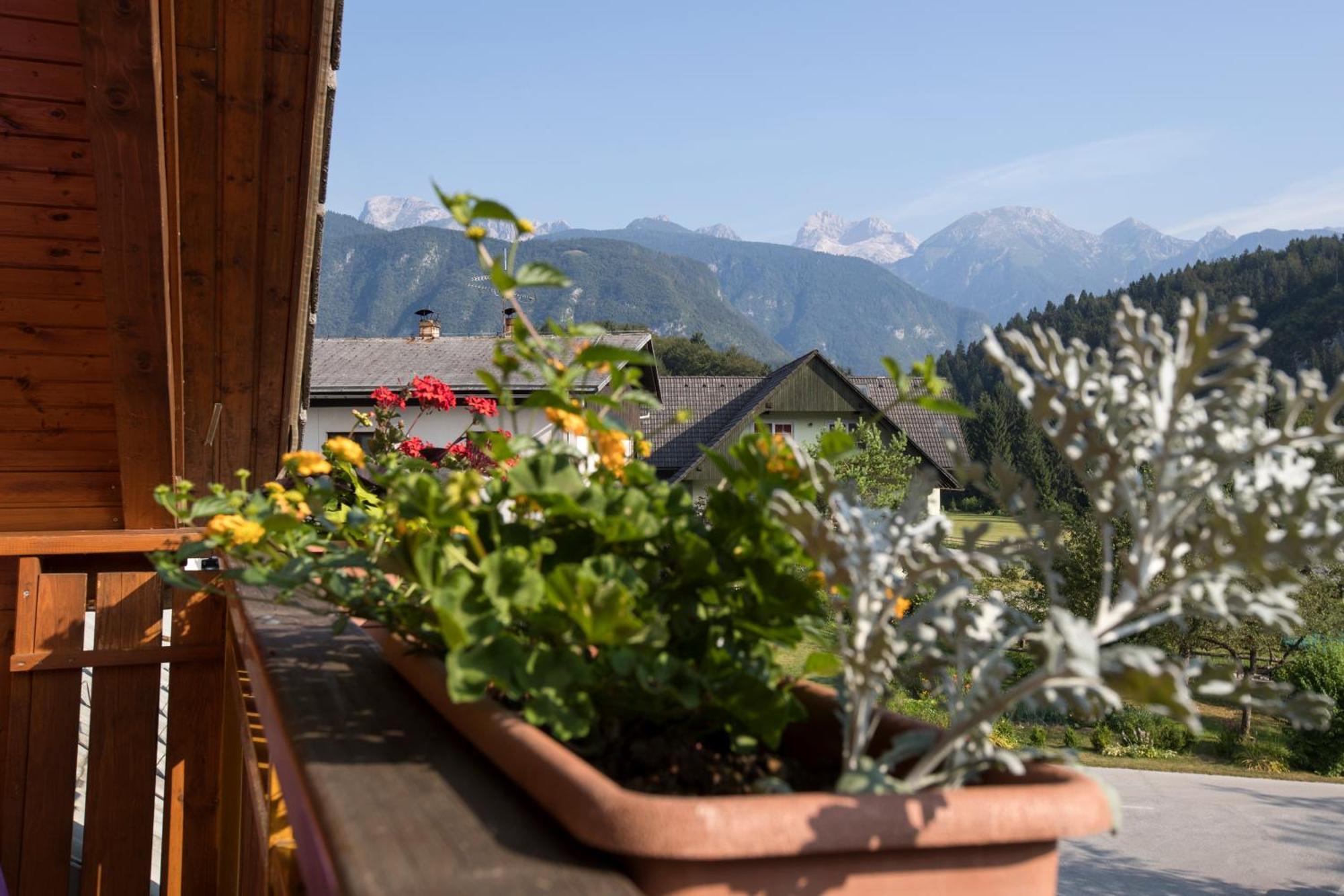 Art Hotel Kristal Bohinj Exterior photo